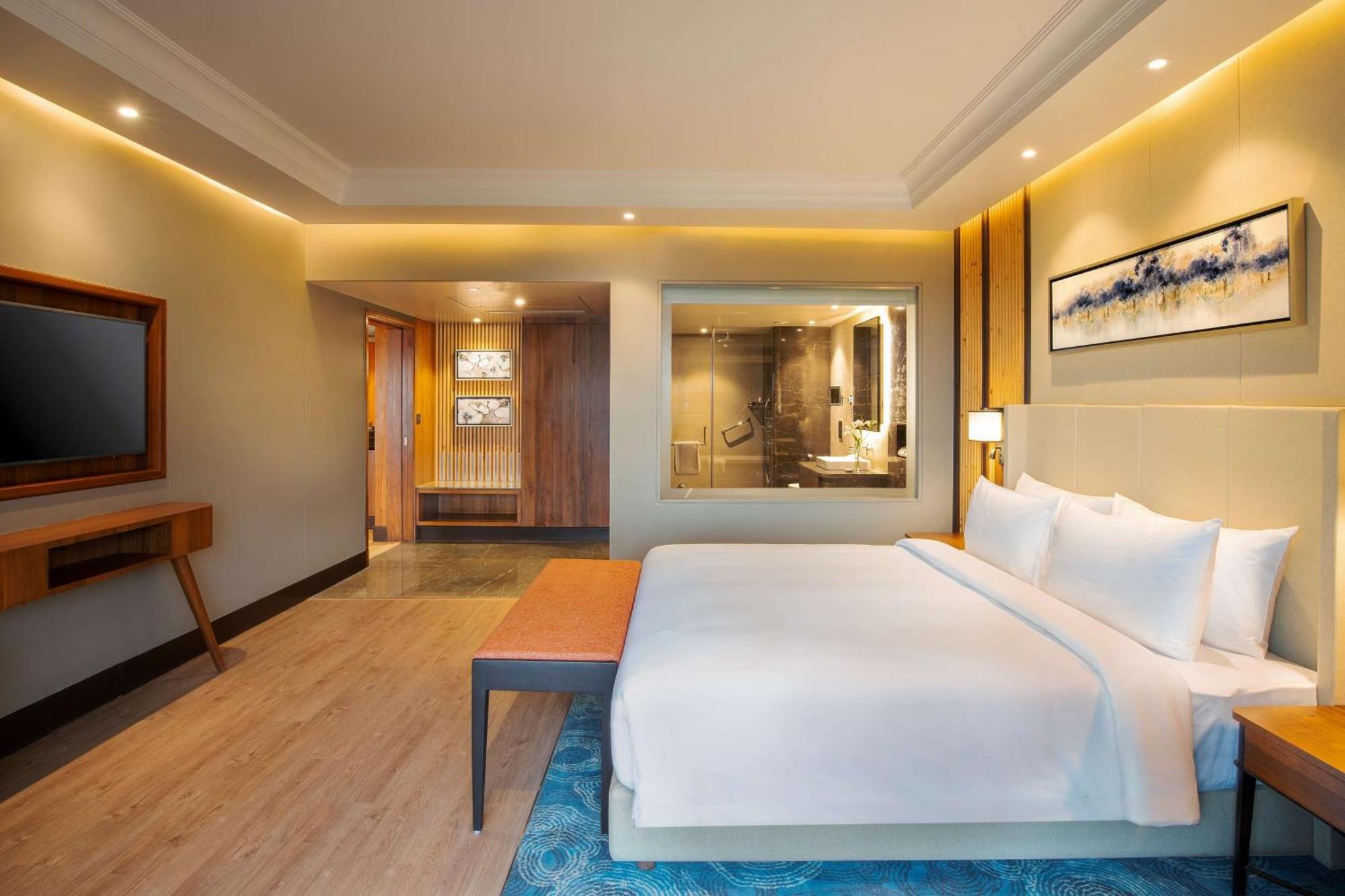 Radisson Blu Resort دارامشالا المظهر الخارجي الصورة