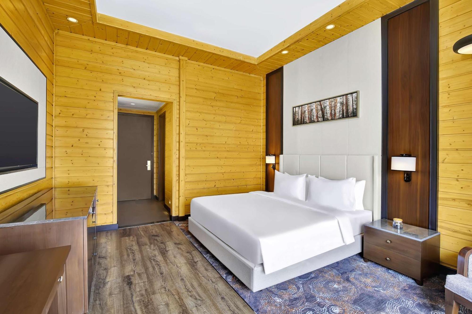 Radisson Blu Resort دارامشالا المظهر الخارجي الصورة