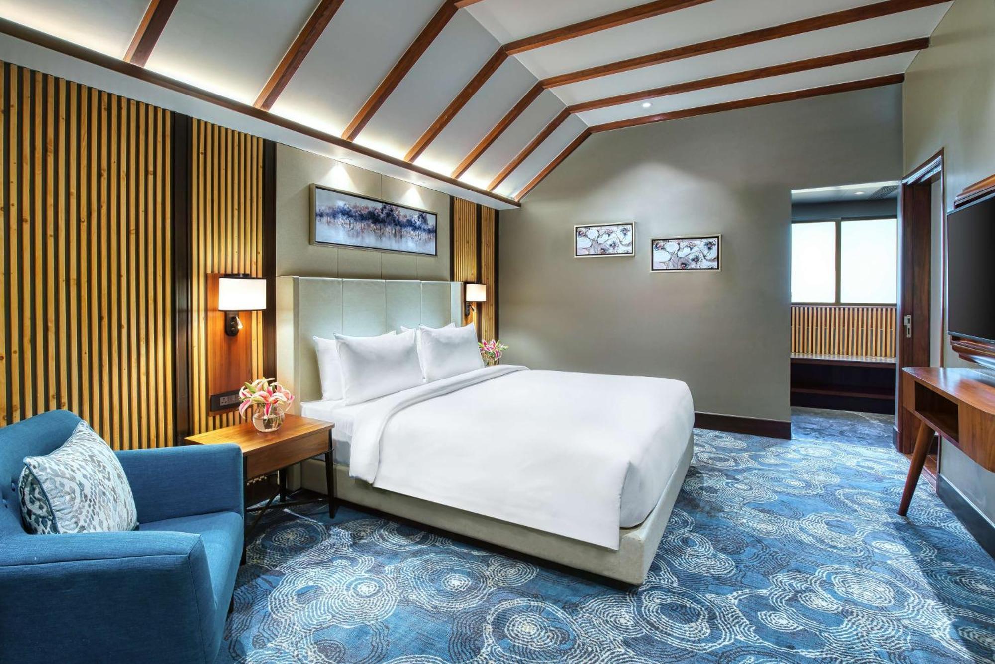 Radisson Blu Resort دارامشالا المظهر الخارجي الصورة